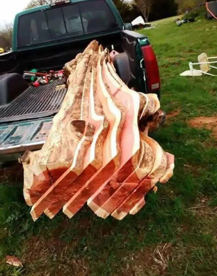 Árbol que parece bacon