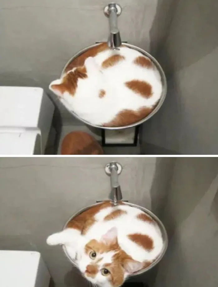 Latte cremoso