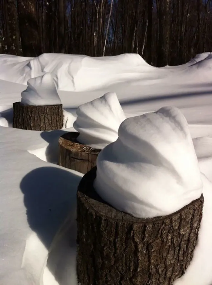 Nieve sobre troncos que parece helados