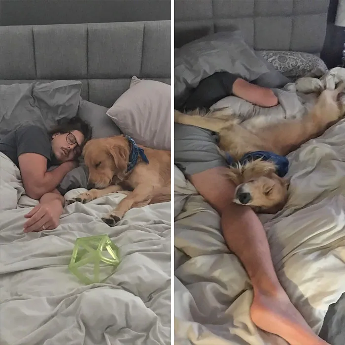 Al principio de la siesta VS Totalmente fritos