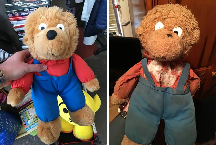 Encontré una versión totalmente nueva de mi oso de peluche de la infancia