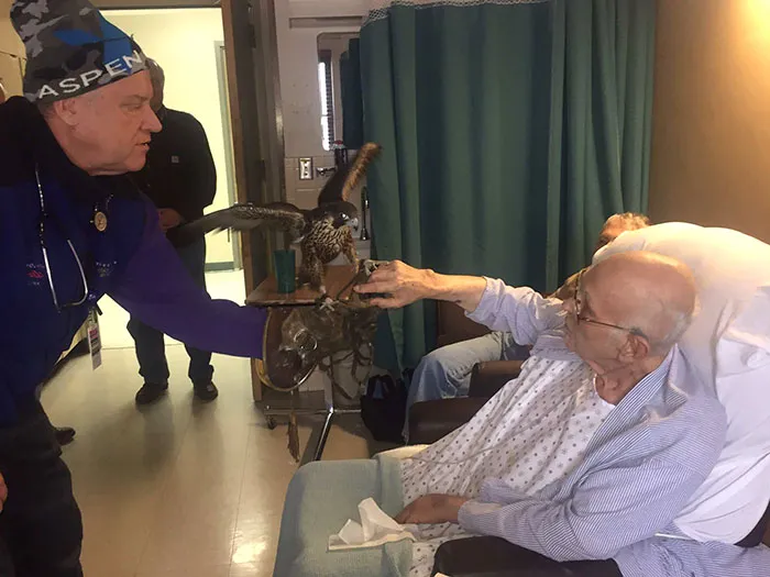 Man laying in hospital bed and touching a falcon statue other man is holding 