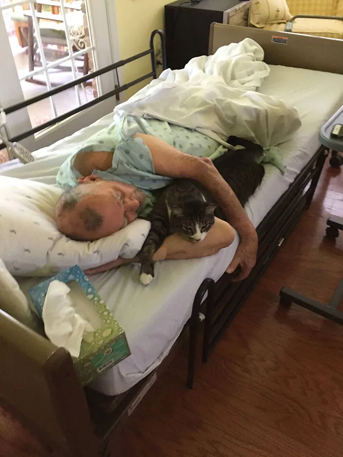 Dad laying in hospital bed while hugging a cat 