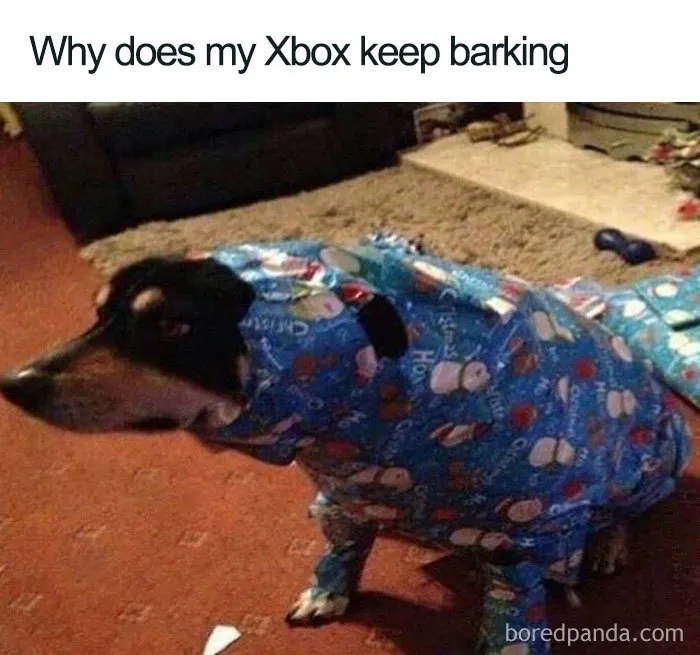 Wrapped Up and Confused