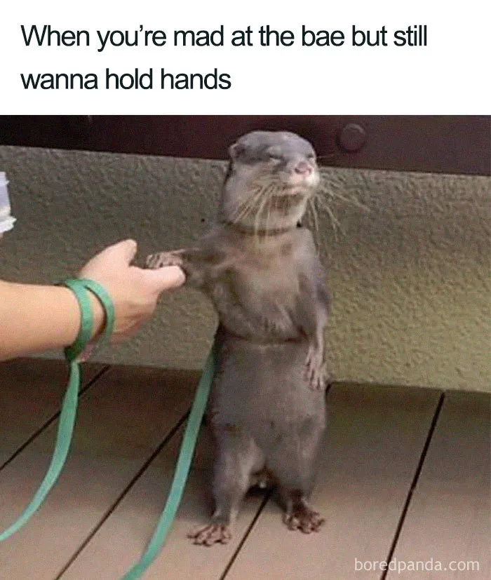 Can't Stay Mad For Long