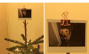 50 Hilarious Christmas Memes