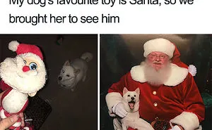 50 Hilarious Christmas Memes