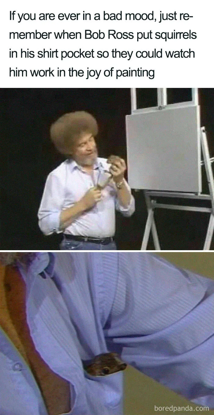 64 Reasons Why Bob Ross Was The Best