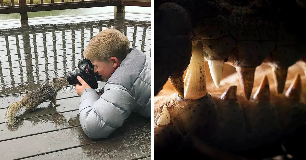 El hijo de Steve Irwin se ha convertido en un premiado fotógrafo, y en estas 25+ fotos lo verás