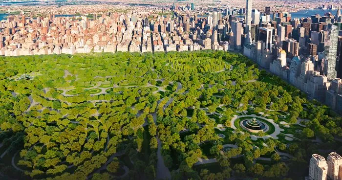 This Is How NYC Central Park Would Have Looked Based On A Rejected Design From 1858