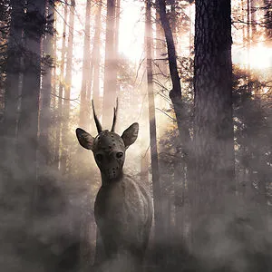 Wild Creature CR