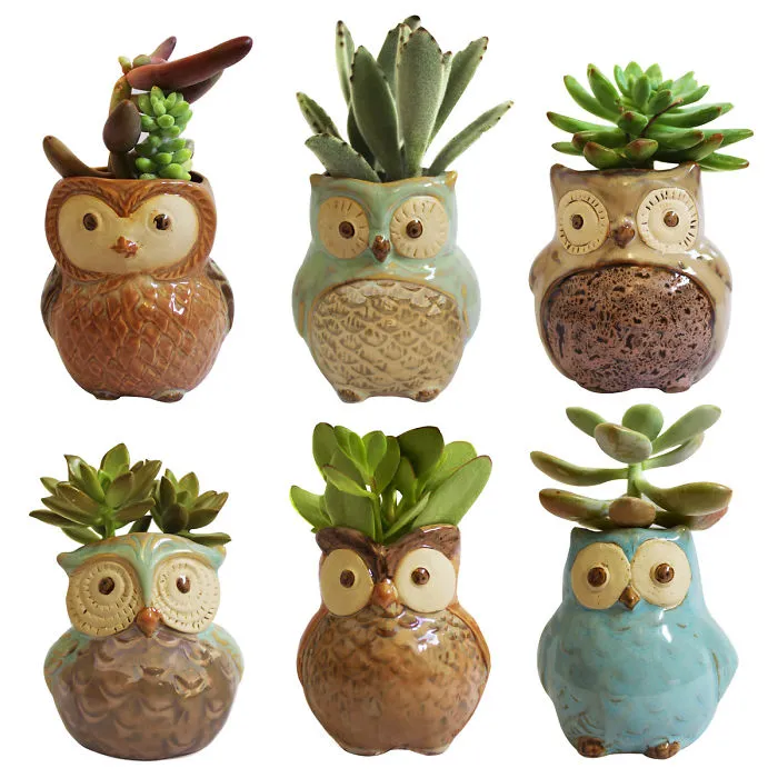 I Combined My Passions Of Art, Design And Plants To Create These Owl Succulent Planters!