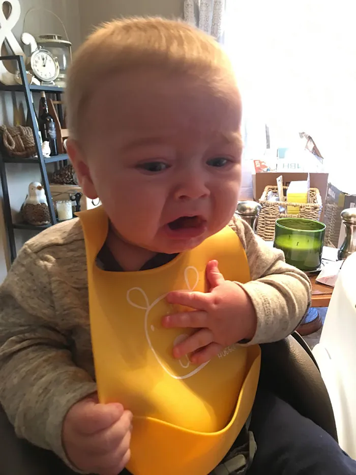 Le he dado comida de verdad a mi hijo por 1ª vez