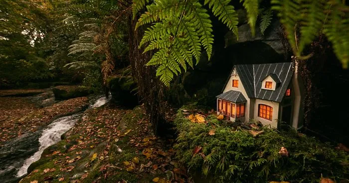 Someone Is Creating Tiny Houses For Fairies And The Media Is Abuzz Trying To Work Out Who It Is