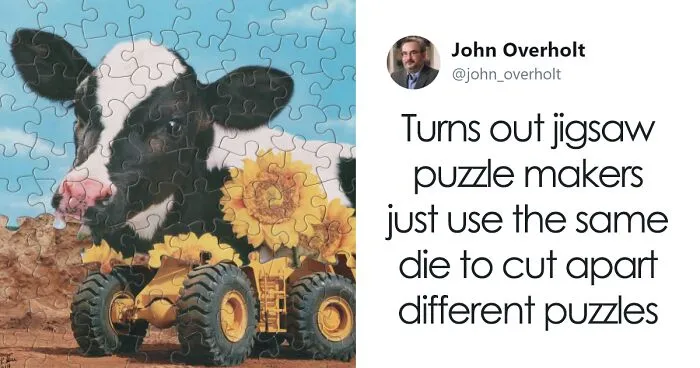 Artist Comes Up With Genius Way To Use Puzzles, Sells The Result For Up To $650