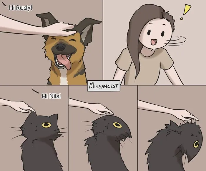 12 Funny Comics Reveal The Reality Of Owning A Cat