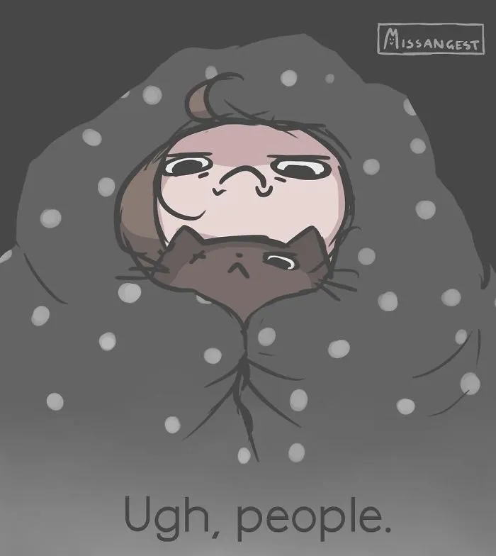 12 Funny Comics Reveal The Reality Of Owning A Cat