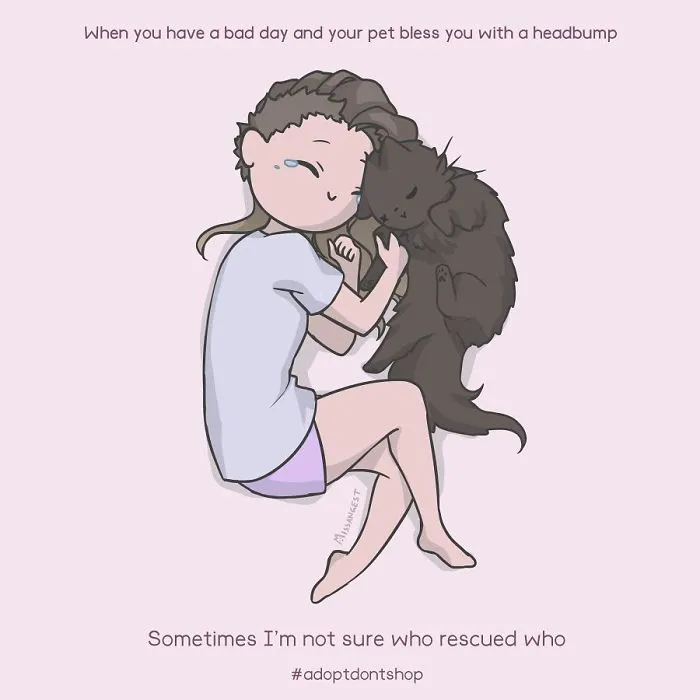 12 Funny Comics Reveal The Reality Of Owning A Cat