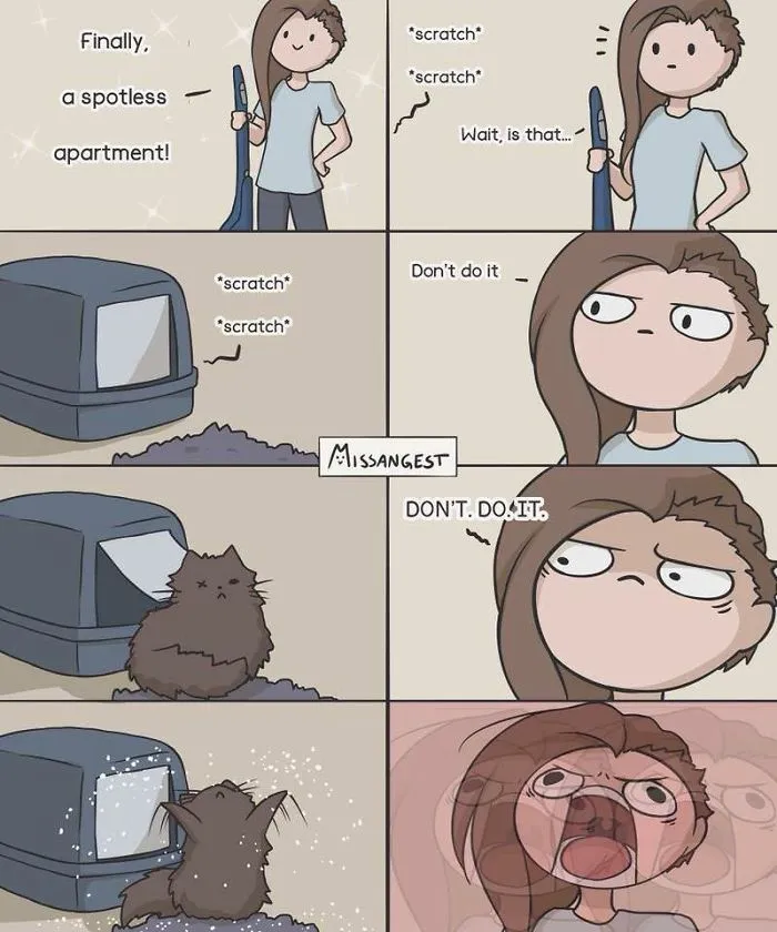 12 Funny Comics Reveal The Reality Of Owning A Cat