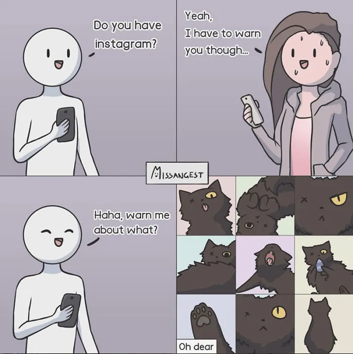 12 Funny Comics Reveal The Reality Of Owning A Cat
