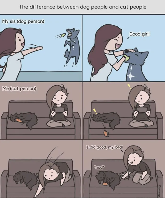 12 Funny Comics Reveal The Reality Of Owning A Cat