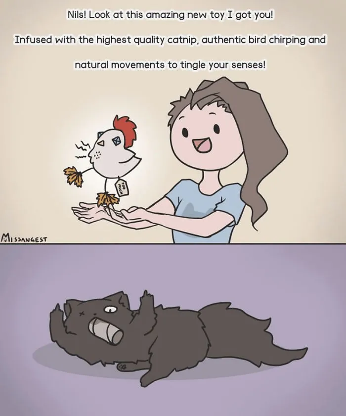 12 Funny Comics Reveal The Reality Of Owning A Cat