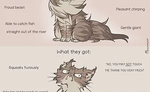 12 Funny Comics Reveal The Reality Of Owning A Cat