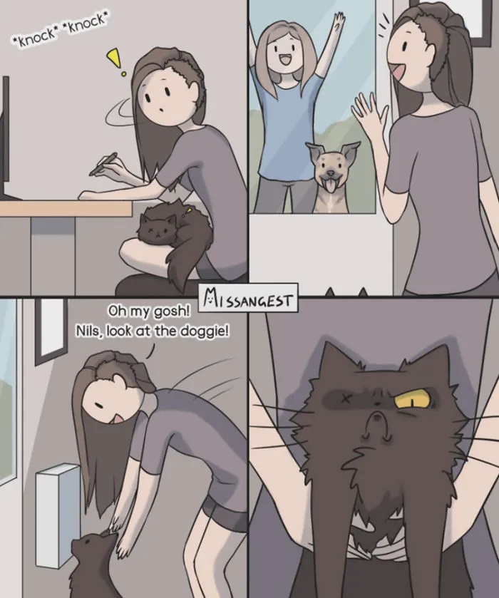 12 Funny Comics Reveal The Reality Of Owning A Cat