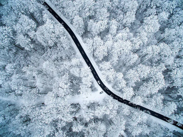 Winter Idyll In Everyday Life, Germany (Honorouble Mention In General Color Category)