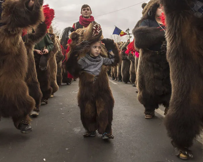 The Bear, Romania (Honorouble Mention In Under 20 Category)