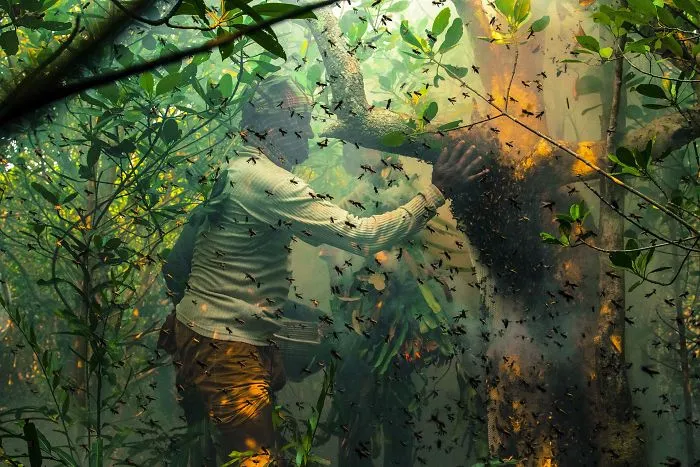 Honey Hunters (Remarkable Award In Journeys And Adventures Category)