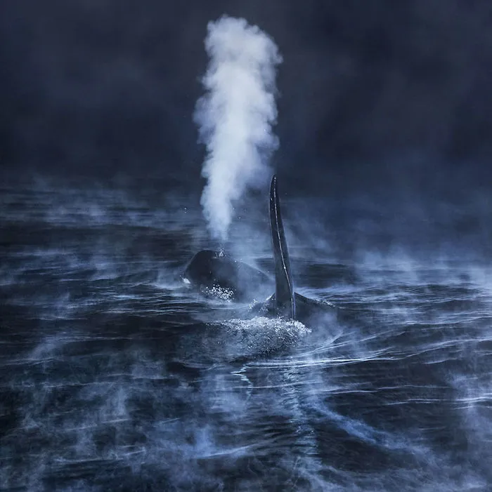 Frío en la superficie, Noruega (The beauty of the nature)
