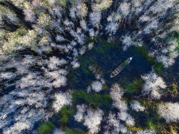 In The Melaleuca Forest, Vietnam (Honorable Mention In Journeys and Adventures Category)