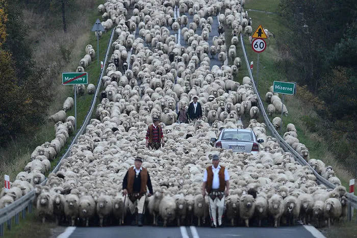 Redyk, Poland (Honorable Mention In Journeys and Adventures Category)