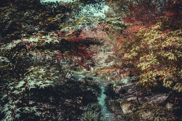 I Spent A Weekend Photographing In Kyoto, Japan And These Are My Favorite Shots (23 Pics)