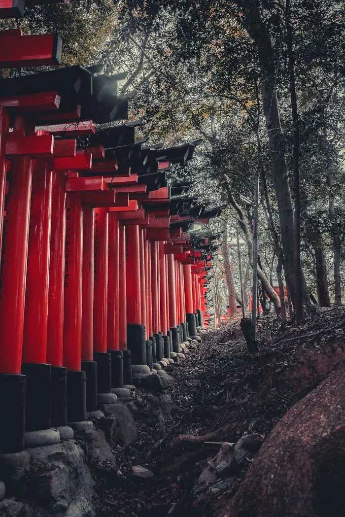 I Spent A Weekend Photographing In Kyoto, Japan And These Are My Favorite Shots (23 Pics)