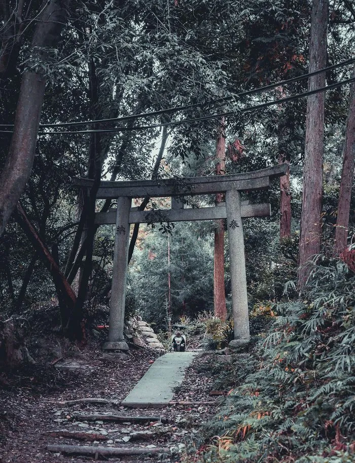 I Spent A Weekend Photographing In Kyoto, Japan And These Are My Favorite Shots (23 Pics)