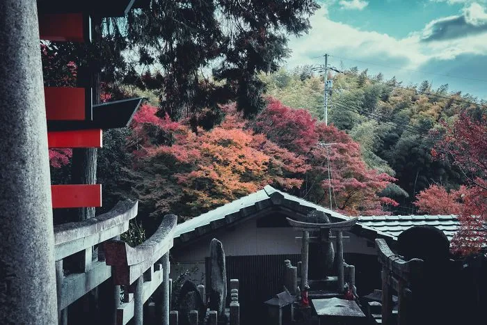 I Spent A Weekend Photographing In Kyoto, Japan And These Are My Favorite Shots (23 Pics)