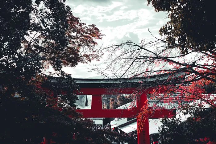I Spent A Weekend Photographing In Kyoto, Japan And These Are My Favorite Shots (23 Pics)