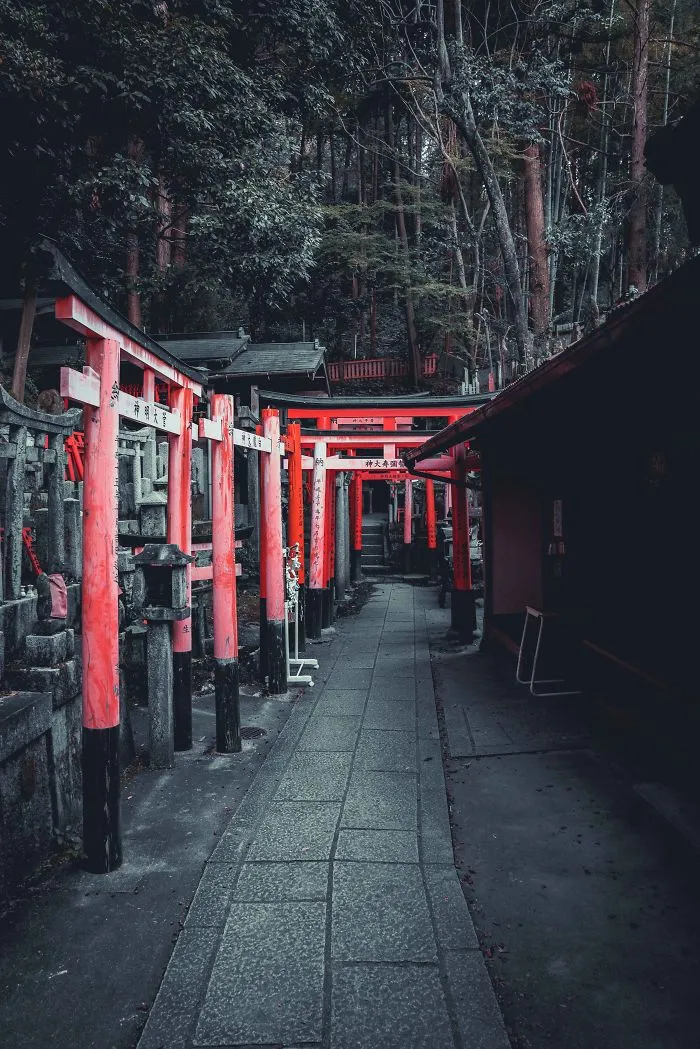 I Spent A Weekend Photographing In Kyoto, Japan And These Are My Favorite Shots (23 Pics)