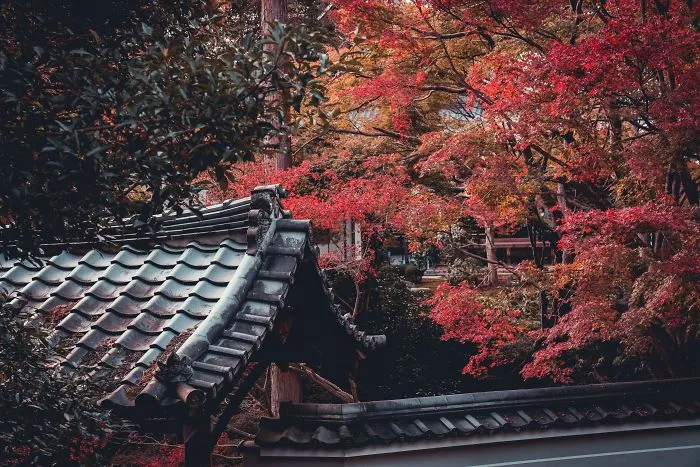 I Spent A Weekend Photographing In Kyoto, Japan And These Are My Favorite Shots (23 Pics)