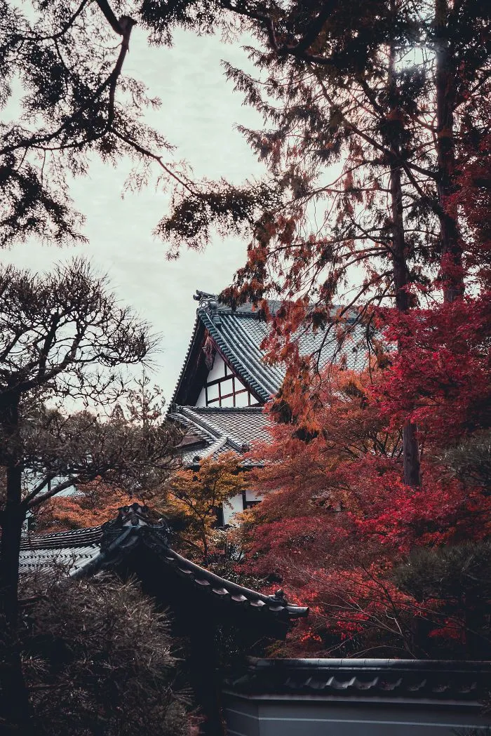 I Spent A Weekend Photographing In Kyoto, Japan And These Are My Favorite Shots (23 Pics)