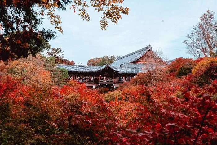 I Spent A Weekend Photographing In Kyoto, Japan And These Are My Favorite Shots (23 Pics)