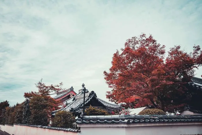I Spent A Weekend Photographing In Kyoto, Japan And These Are My Favorite Shots (23 Pics)