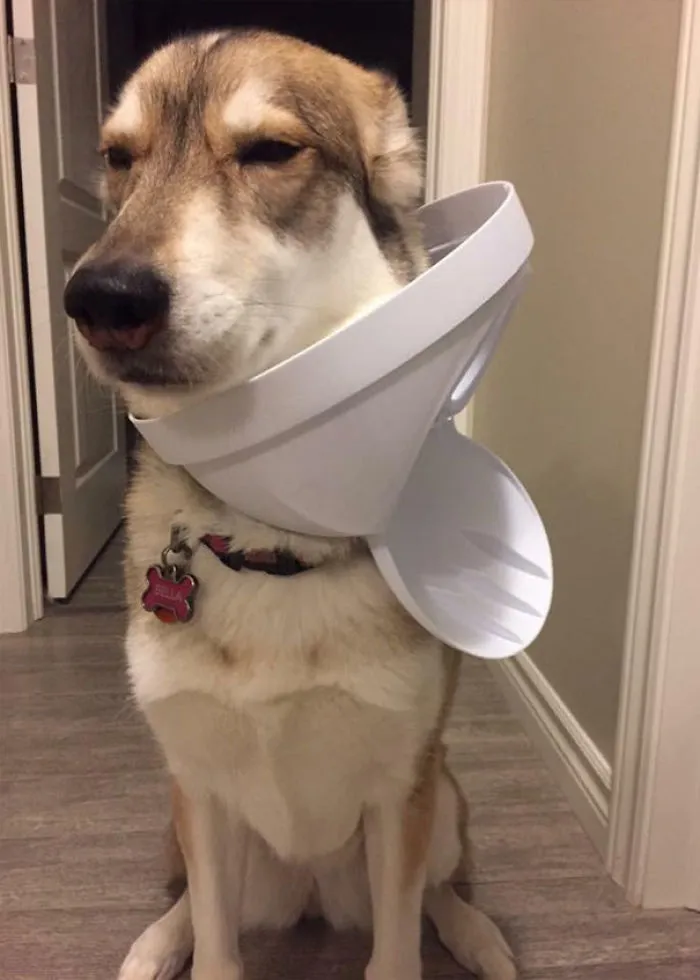 I Turned My Back For Five Minutes