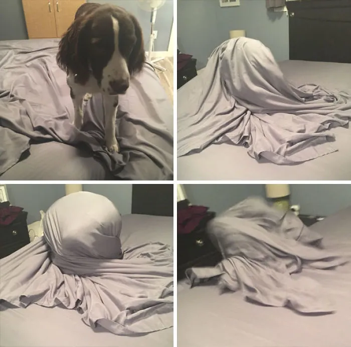 She Helped