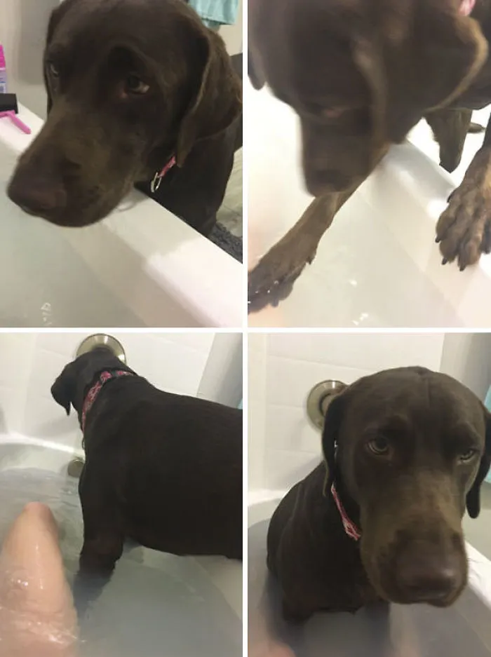 I Was Trying To Enjoy A Nice Bath, But This Happened