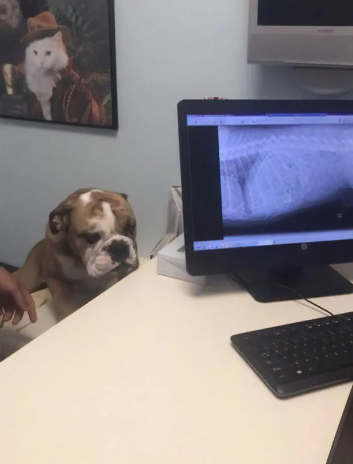 Showing Remorse After Swallowing Mom's Engagement Ring