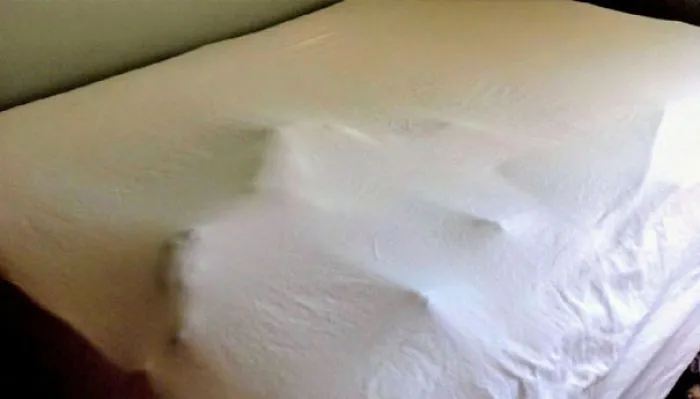 Guess Who Didn't Care About Making The Bed