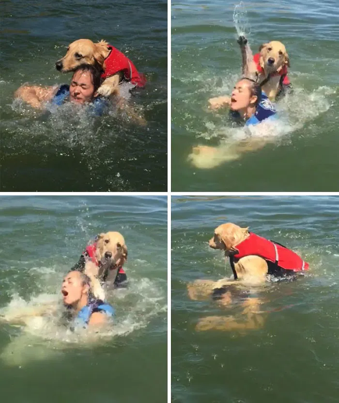 Well It Was A Nice Lake Day Until My Dog Nearly Drowned My Sister
